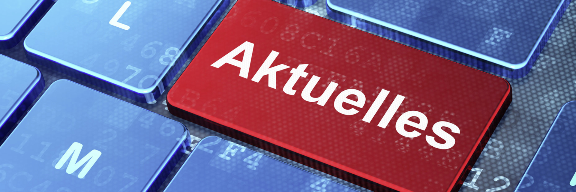 Ultra Reflex Aktuelles